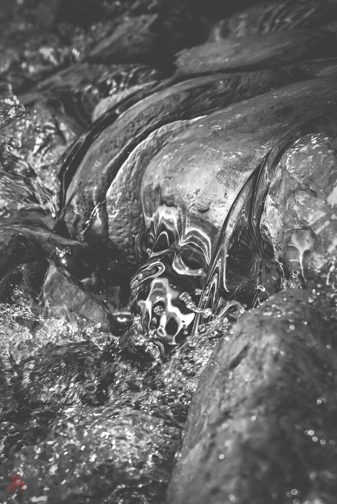 macrophotographie en noir et blanc. Photographie artistique sur le thème de l'eau.